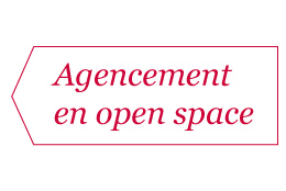 Texte-Coupe1-Yris-Luxembourg